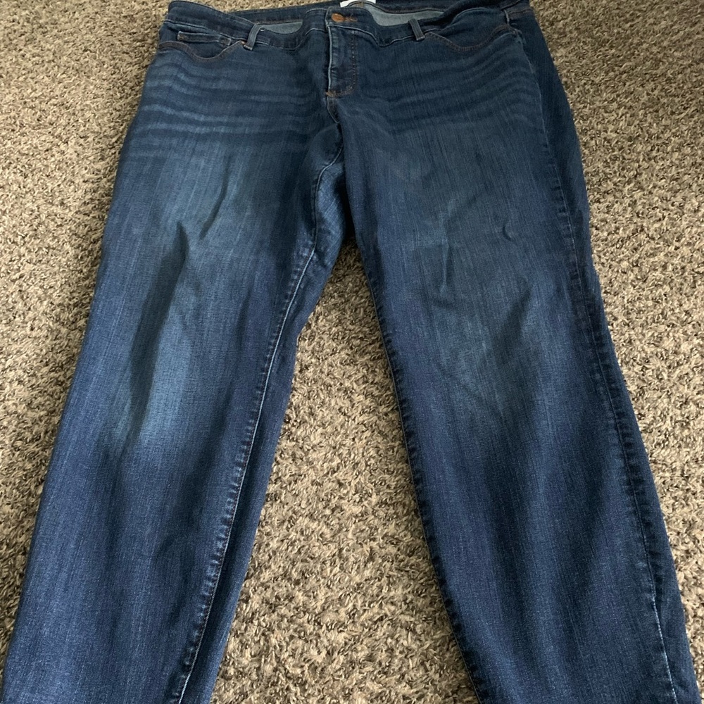 Loft Plus Size 22 Jeans